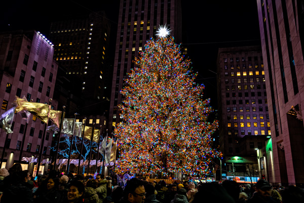 rockefellar center Christmas tree, New York