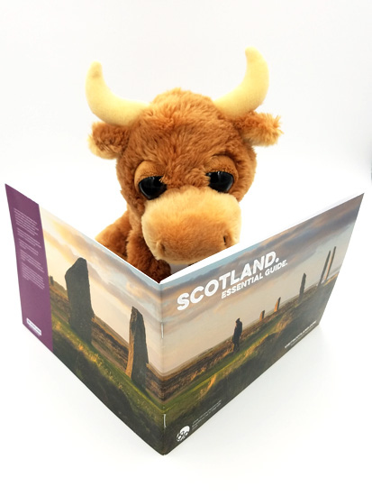 visit Scotland, stuffed toy, Billy T. Bull